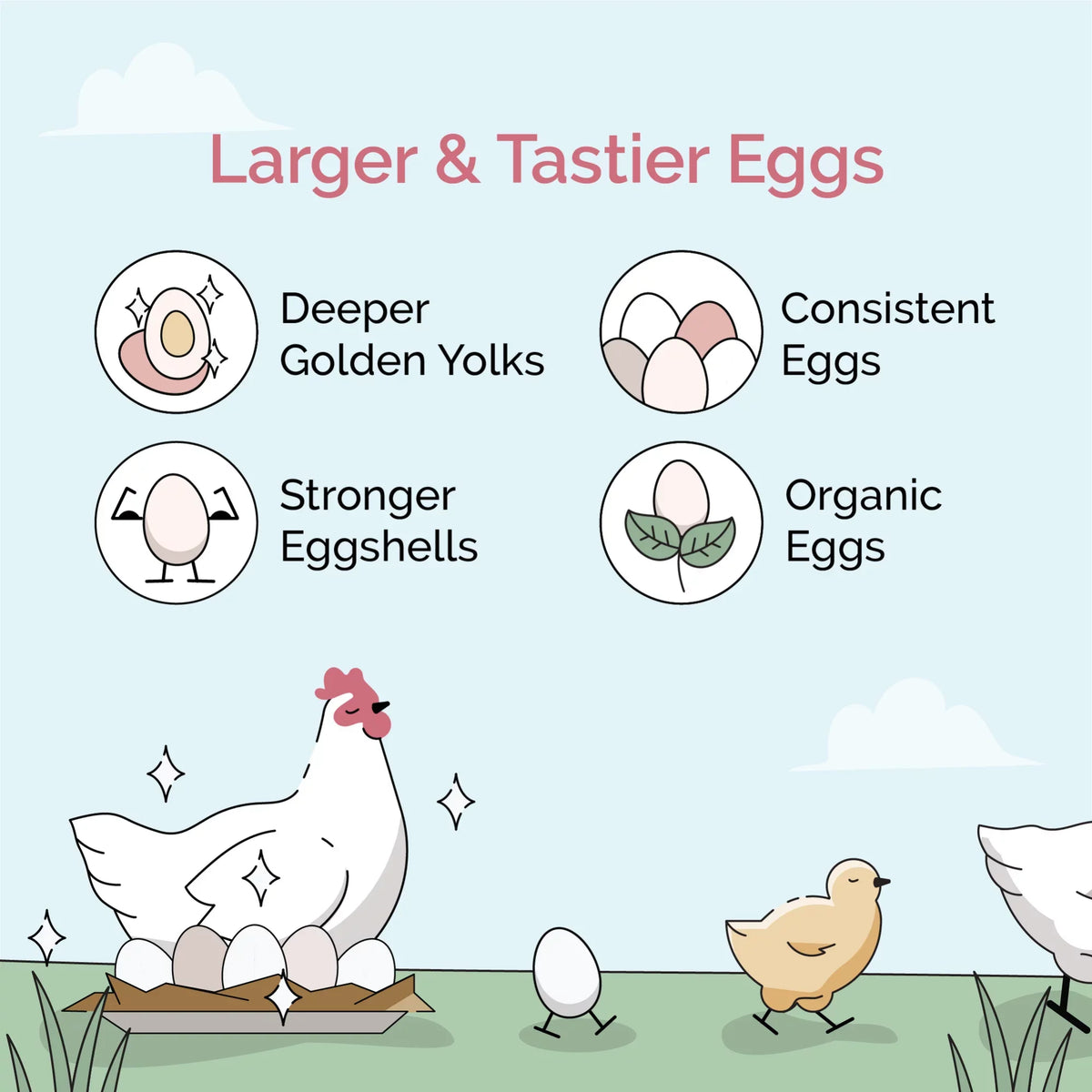 Protein | Soy-Free, Mile Organic, Organic Non-GMO, Chicken 18% Grown | US Chicken Four Grains, | Corn-Free, Grain Feed Whole Certified 100% Non-Medicated Food Grower | Certified 46 lbs. |