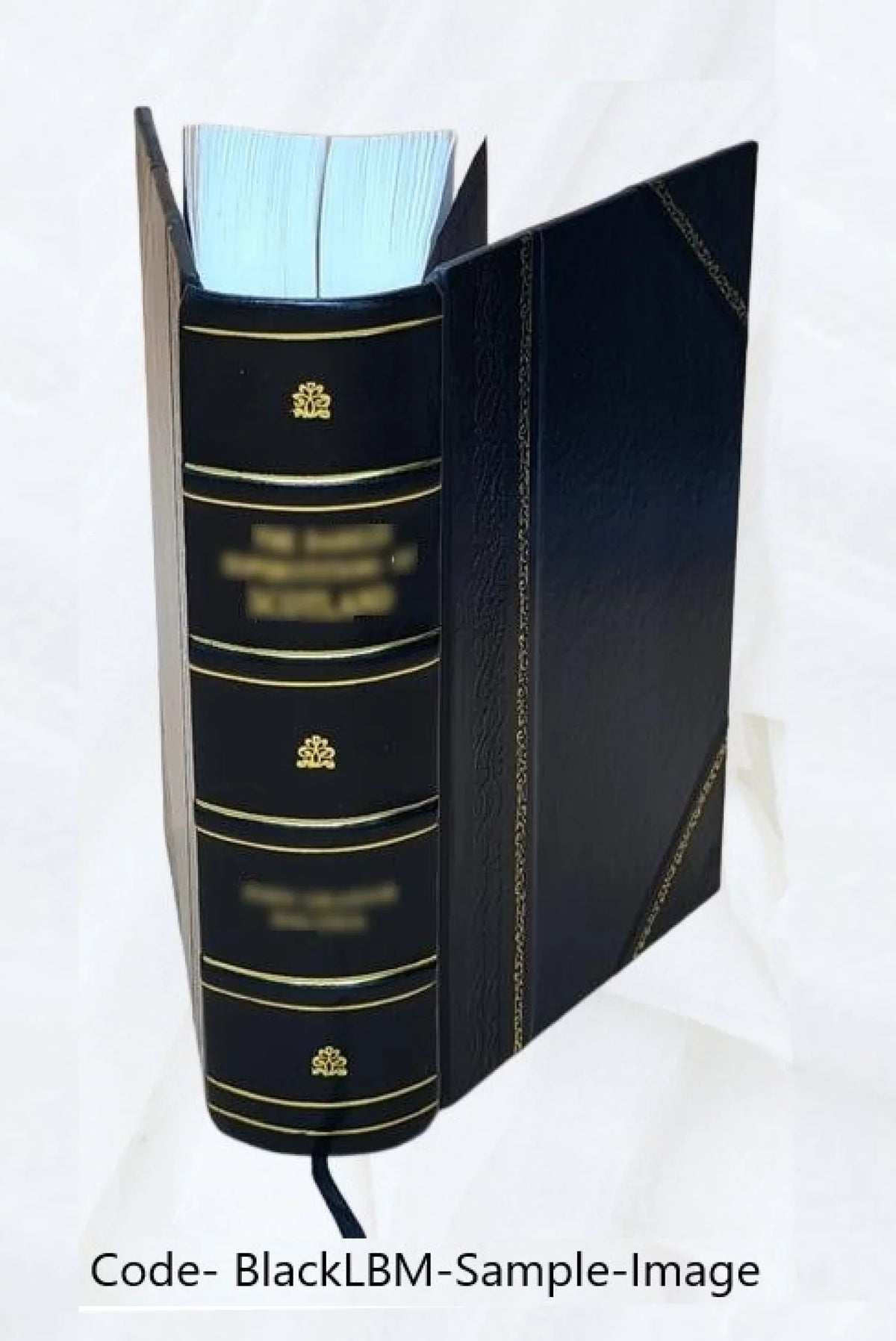 ex Stanleii Schutzii latine editione tragÅdiÃ¦ ; Bound] redditÃ¦ et [Leather / 1819 ad editionem accommodatÃ¦. Ãschyli grÃ¦cam