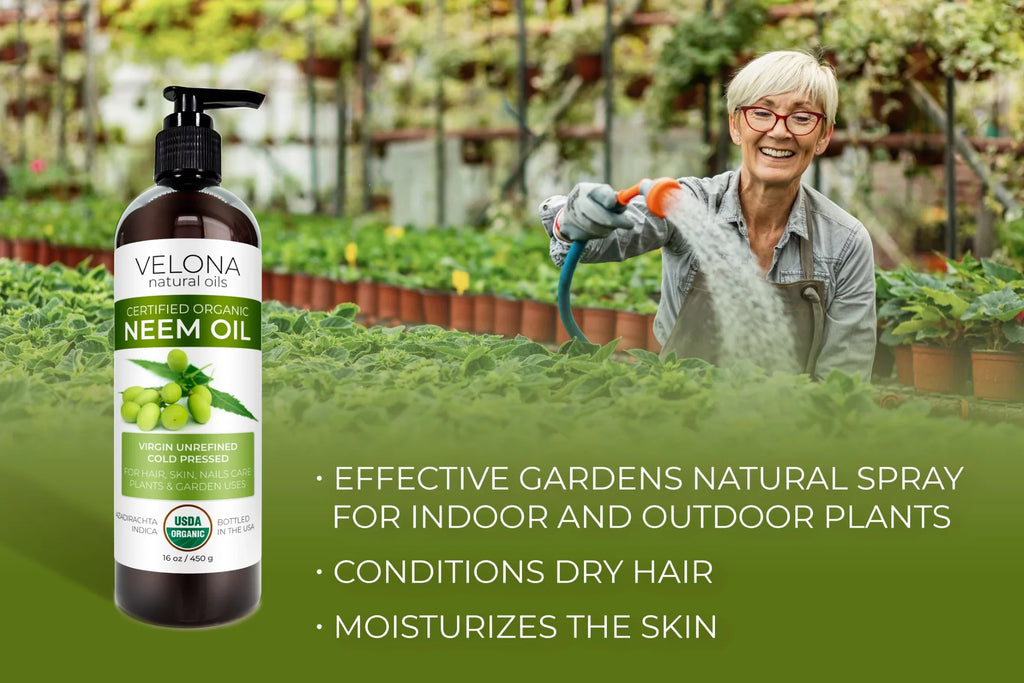 | Cold USDA Pressed Certified Use | Pure lb Care Enjoy Natural Unrefined, Carrier - Body Hair, Organic Skin Today Oil Oil Virgin, Velona - Results | and Neem | and 100% 7
