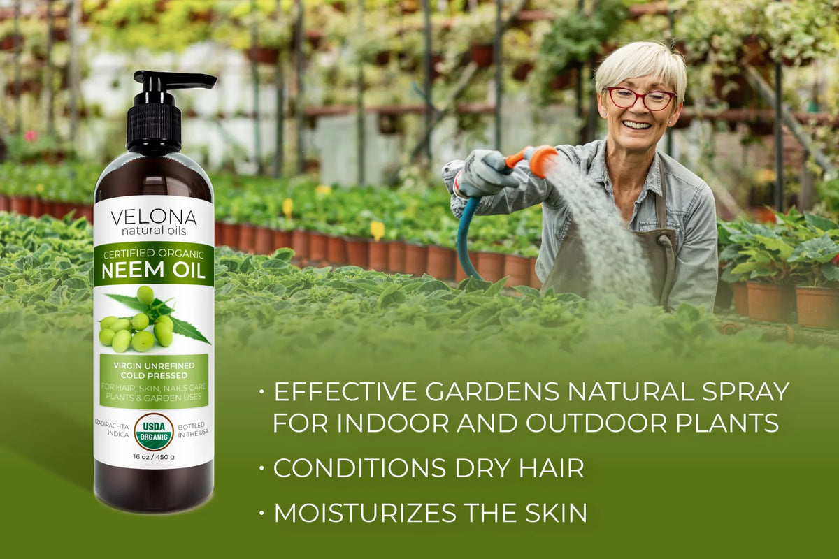 Body Organic | and Cold Hair, 100% USDA Skin - | Oil | Enjoy Virgin, Unrefined, Results Care Oil Pressed Carrier and 24 | Certified oz Velona Neem Use - Today Natural Pure