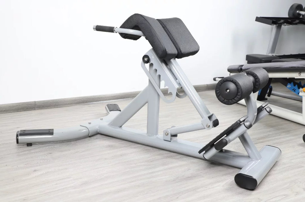 Silver Back French Fitness FFS Hyperextension Extension (New) 45 Degree