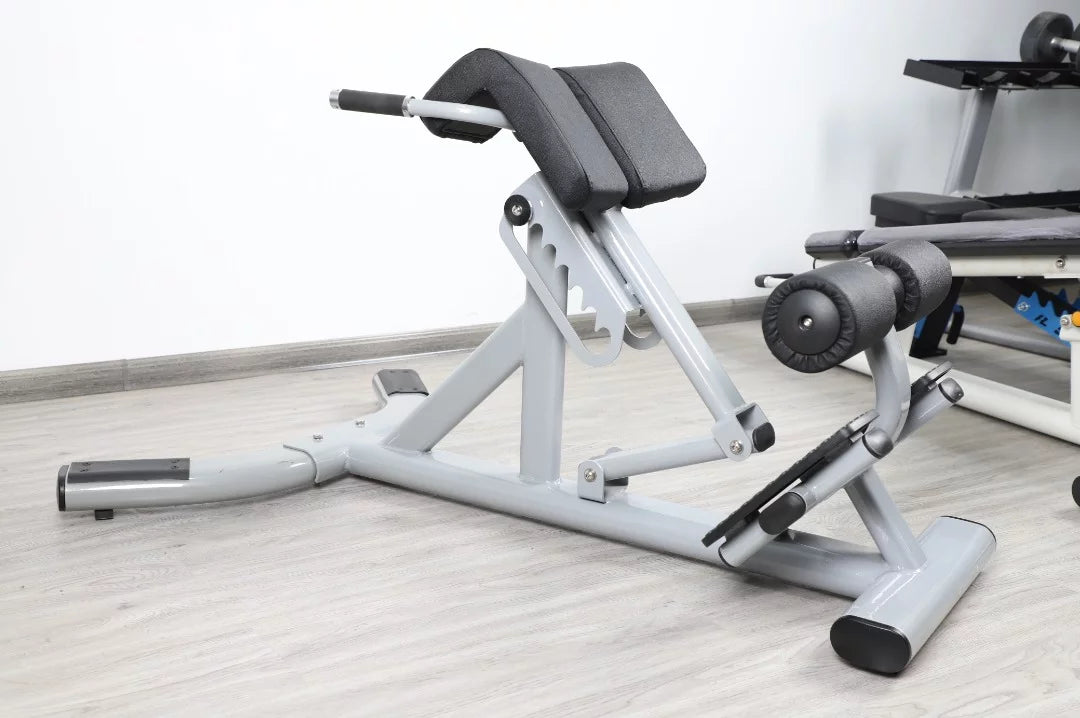 Silver Back French Fitness FFS Hyperextension Extension (New) 45 Degree