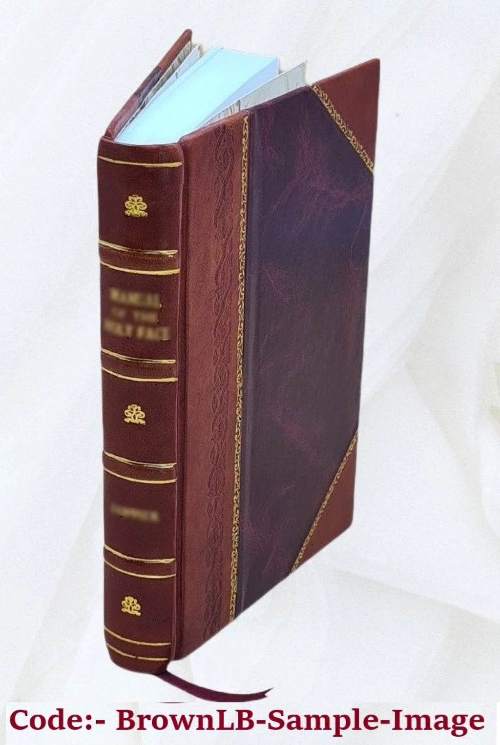 found The Woodwardian in made elementary the the the of in of Camb the of from an Cambridge pterodactyles, museum arranged remains study bones University fossil Greensand, ornithosauria Upper : and of