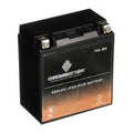 12 Battery for Chrome Volts,14 Cca) 230 Polaris Jet Ah, Battery Ski Ytx16l-bs (16l-bs