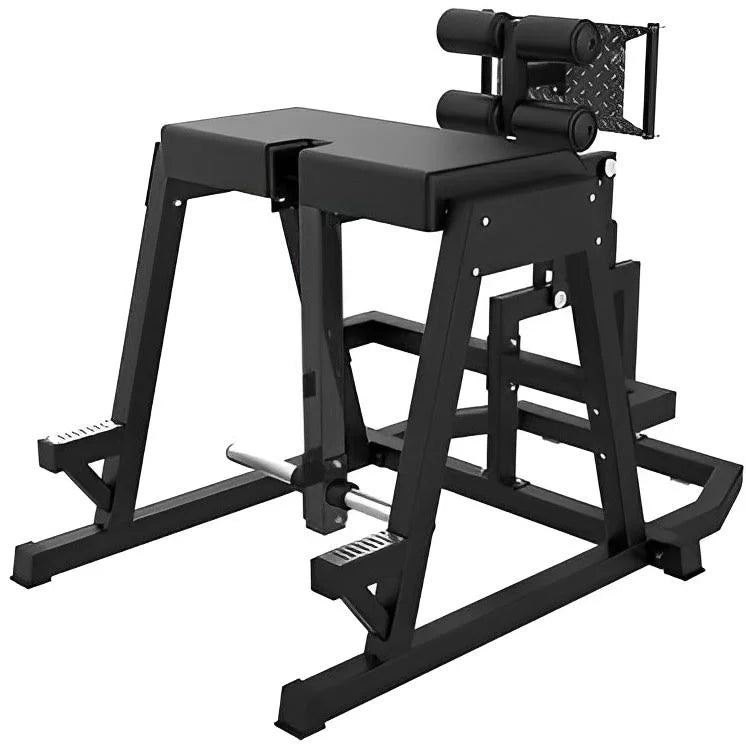 (New) Reverse Donkey Kick RH80 French Fitness Hyperextension