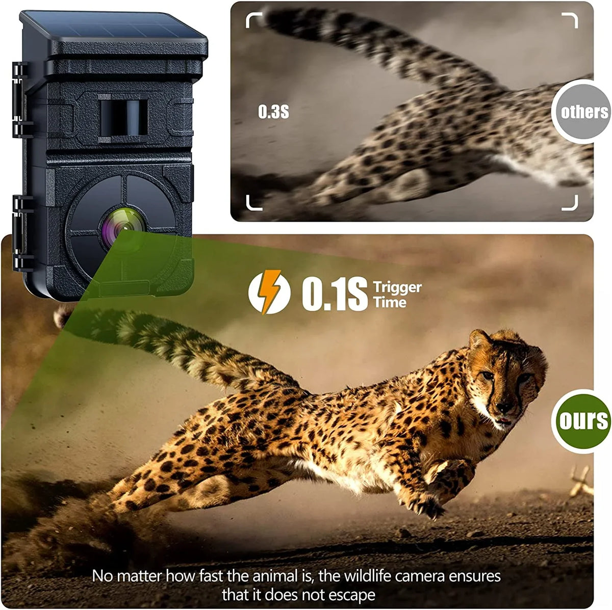 24MP Motion Hunting Built-in Speed Trail Lithium Rechargeable Solar 1080P Cam Trigger IP66 Camera with Game Camera Night 2500mAh Vision 120Â°Wide CAMPARK 0.1s Waterproof Battery Angle Activated