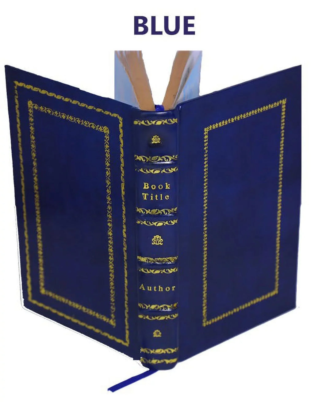 animadve novas anatomicae Morgagni, Societatis Sodalis, Baptistae & [Premium Professoris Londinensis Leather Joannis Primarii Regiae Bound] Epistolae observationes duae et Patavini