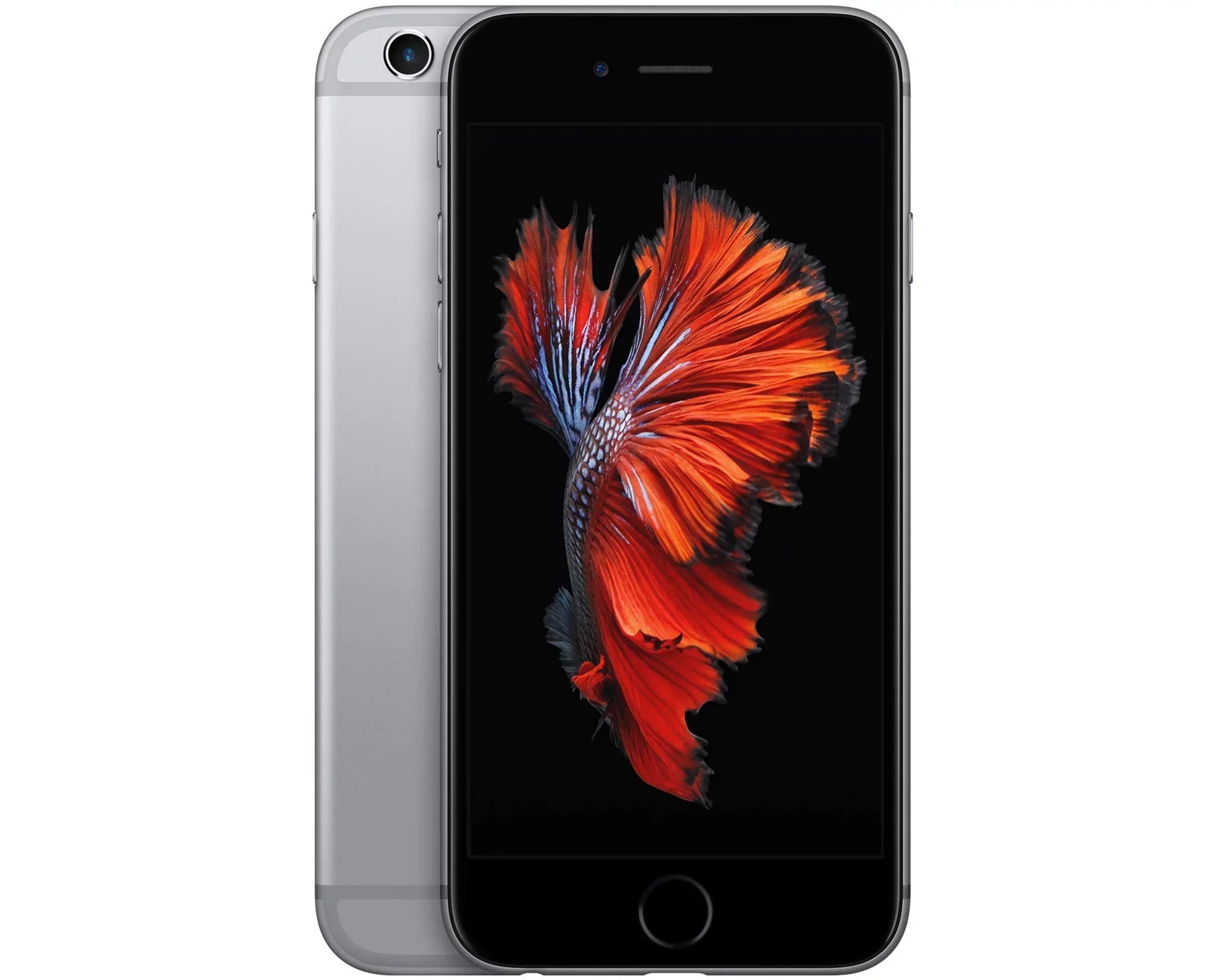 Space / iPhone Restored 16GB, Gray 6s Unlocked CDMA - (Refurbished) GSM Apple