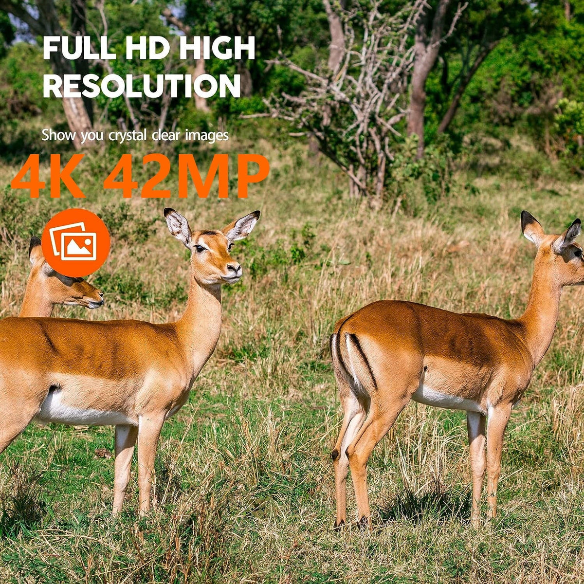Night Trail 30fps Activated CAMPARK with Sensor Waterproof Camera 3 4K Monitoring Motion IP66 Angle Wildlife 120¡ã Deer PIR for 42MP Bluetooth WiFi Camera Trail Cam Hunting Wide Native Vision Game