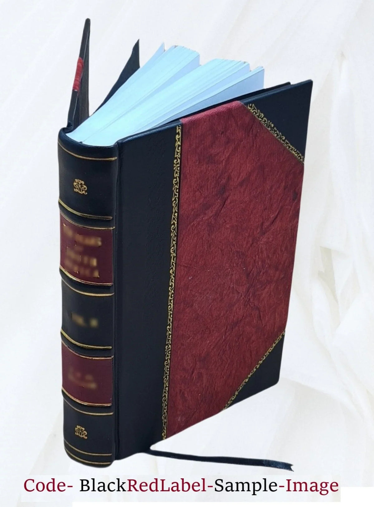 Lords of Reports from with 1829 &c. Peer [Leather &c., Dignity Realm a v.1 the Touching appendixes Bound] of Committees the Volume the