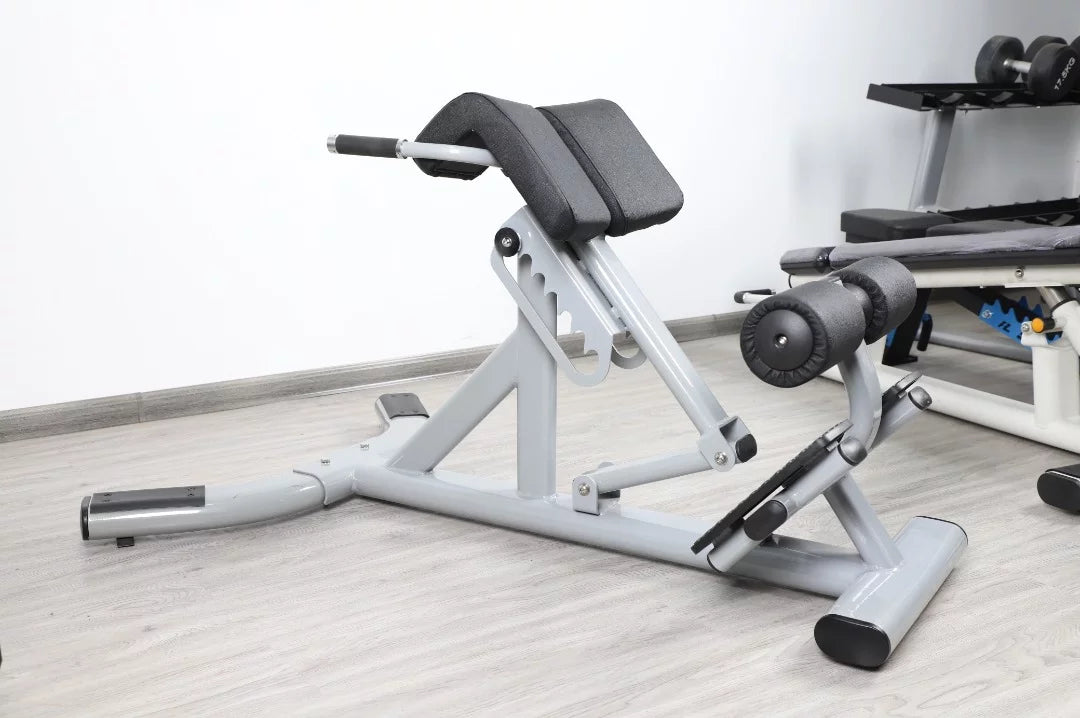 Silver Back French Fitness FFS Hyperextension Extension (New) 45 Degree